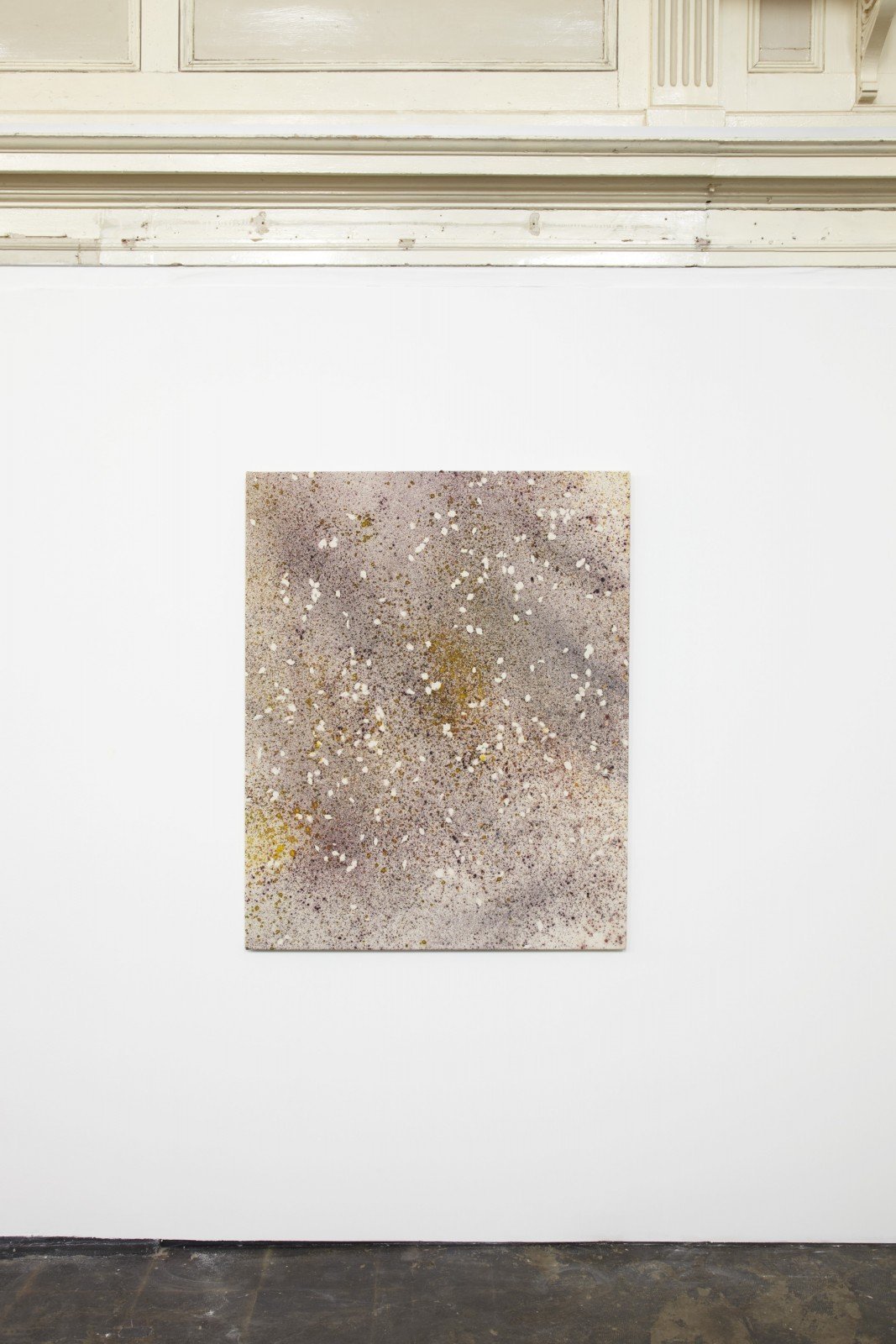Sam Falls, Untitled (Apple blossom petal 6, Sarvisalo, Finland), 2014, installation view at Zabludowicz Collection, London, 2014. Photo: Stuart Whipps. Courtesy artist and Zabludowicz Collection.