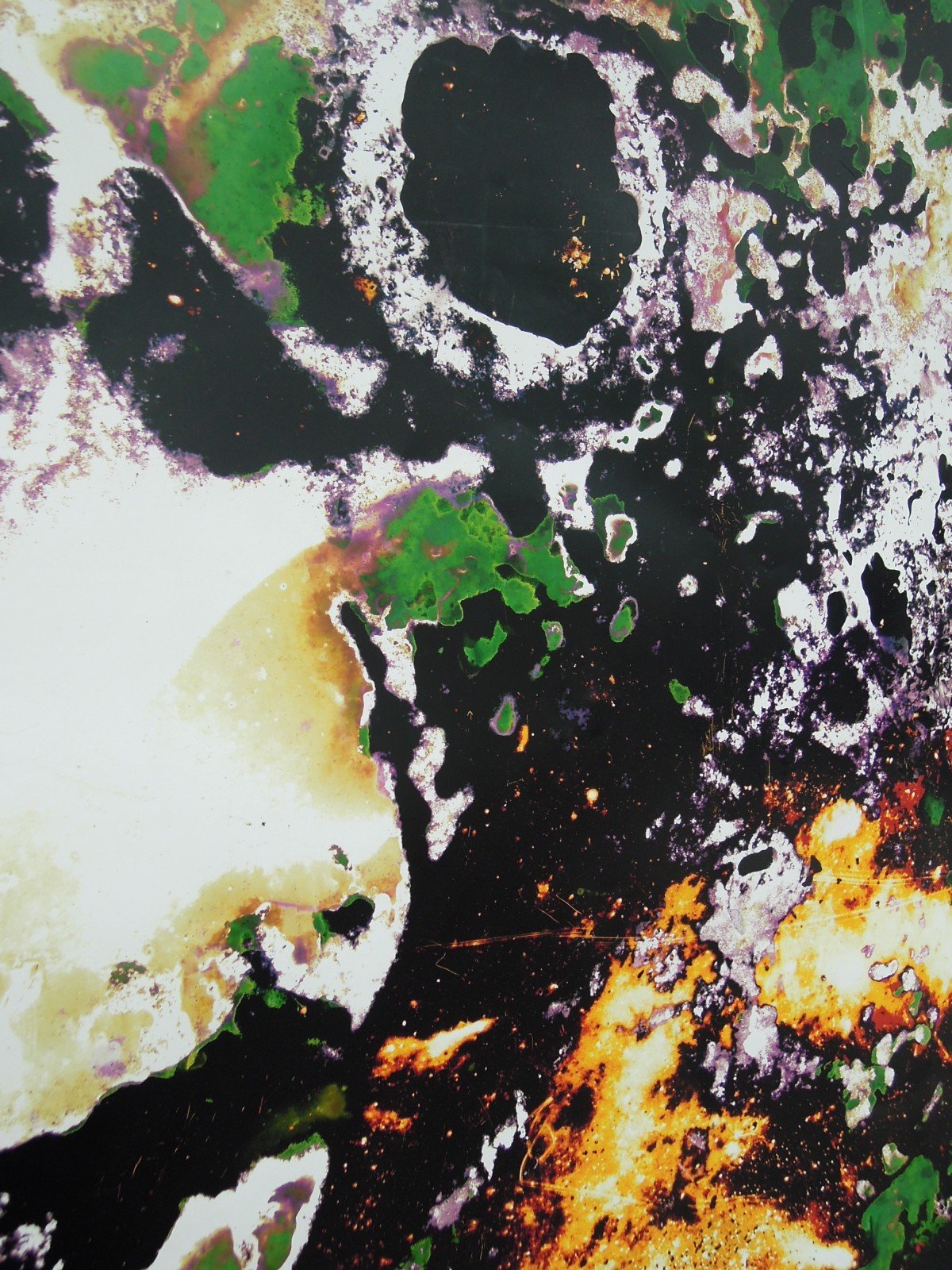 Ryan Foerster and seven pieces shaped by hurricane Sandy, currently at Galerie Bugada & Cargnel in Paris