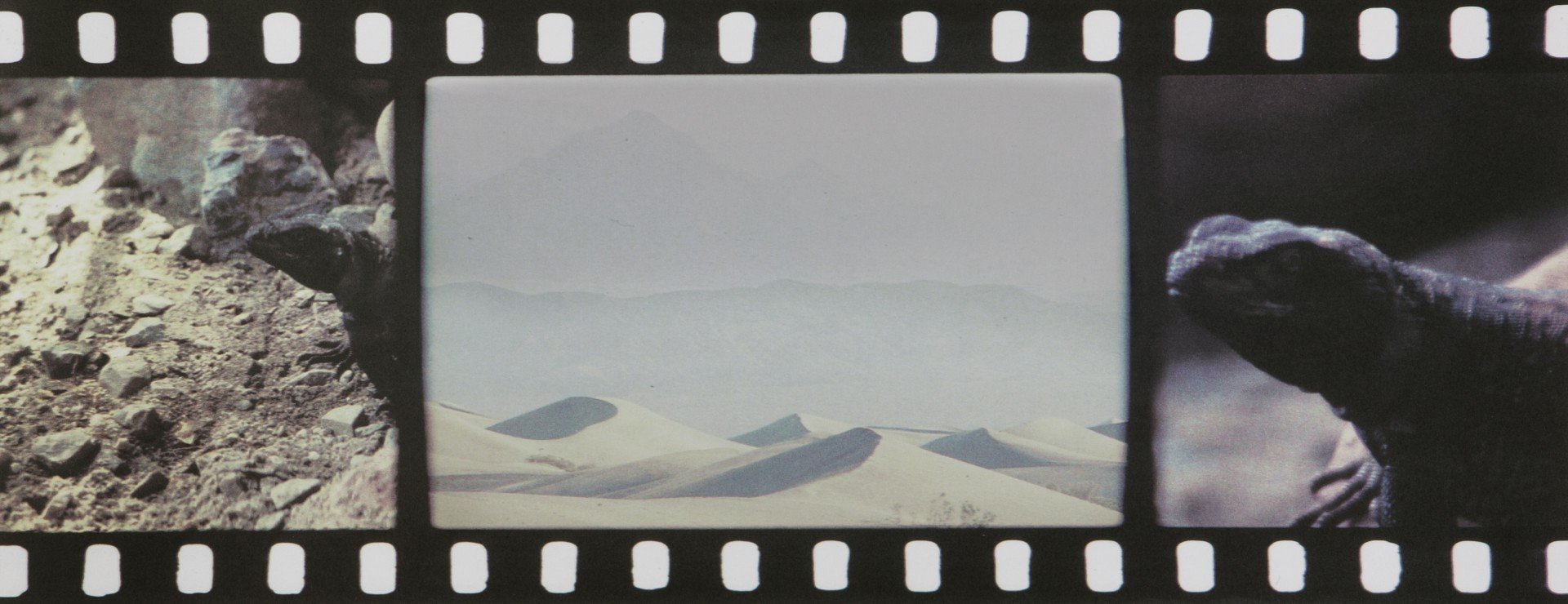 Tacita Dean, JG, 35 mm color and black and white anamorphic film with optical sound of 26 ½ minutes, 2013. Courtesy of Marian Goodman, Paris.