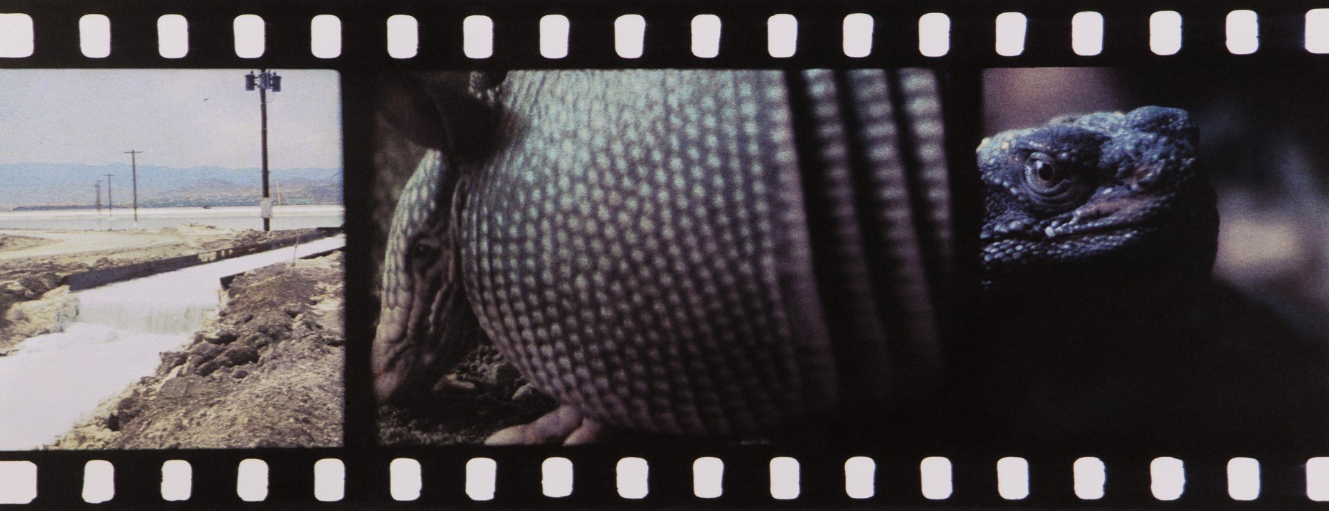 Tacita Dean, JG, 35 mm color and black and white anamorphic film with optical sound of 26 ½ minutes, 2013. Courtesy of Marian Goodman, Paris.