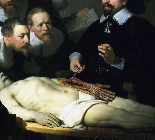 Art in novels: the responsive eye of novelist Donna Tartt reading the Rembrandt’s masterpiece