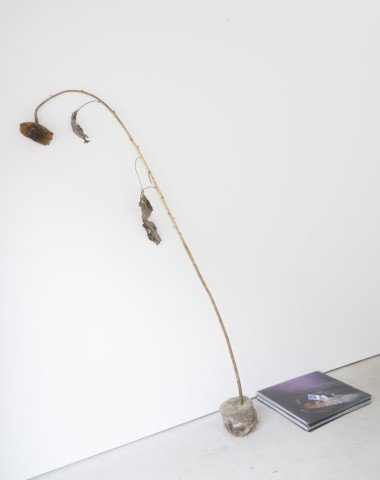 With Ryan Foerster the stream of consciousness turns solid