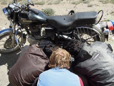 20 Italian top museums’ new directors announced: where is the bug?