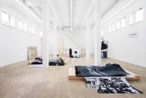 Wilfried Lentz: art fairs are not a condition for growth (an interview)