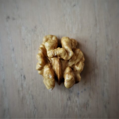 Collector Beatrice de Gelder and how neuroscience can be a game changer in art