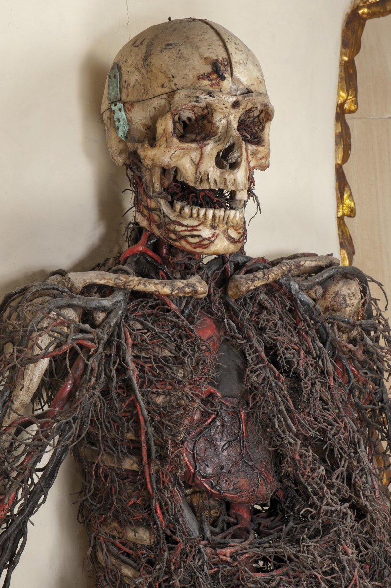 18th century anatomical machine from the Chapel and Museum of Sansevero, Naples.