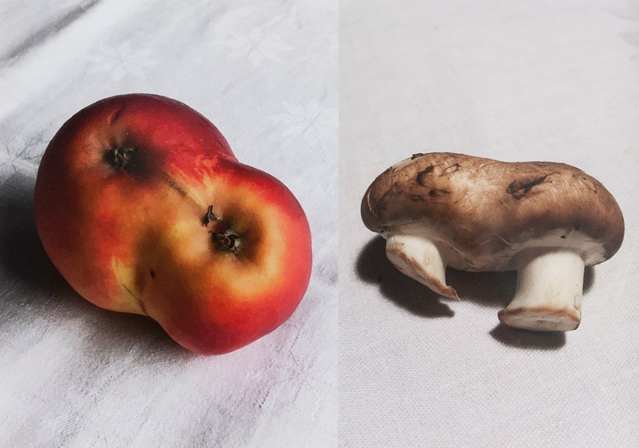 HC: thinking with more than one mind