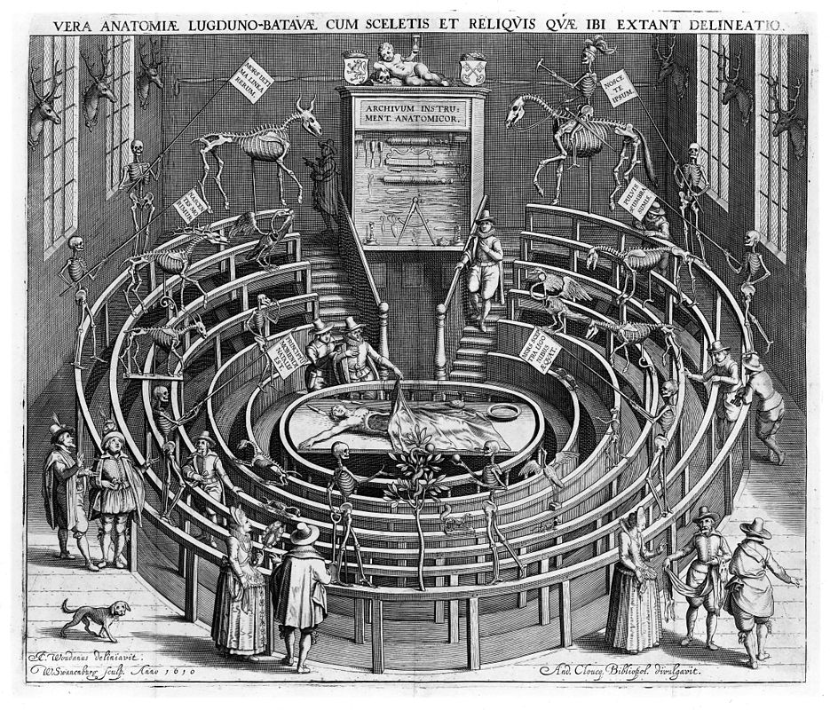 The anatomical theatre at Leiden