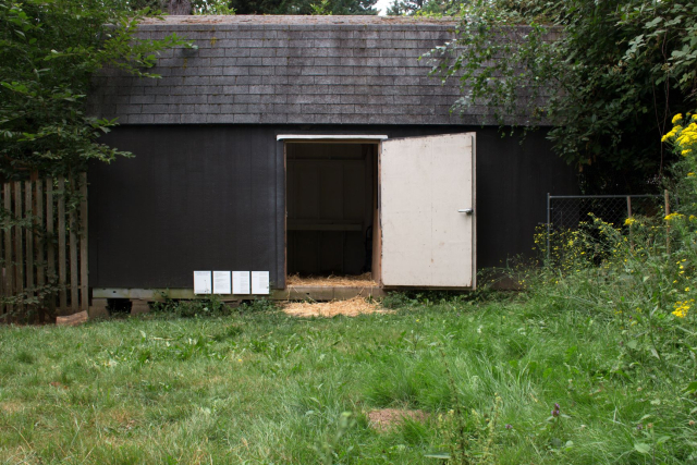 Srijon Chowdhury's Chicken Coop Contemporary.
