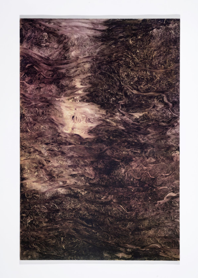 Cleo Fariselli, Torrente, 2019, olio su tavola, cm 60 x 90 (senza cornice) foto: Silvia Mangosio e Luca Vianello
