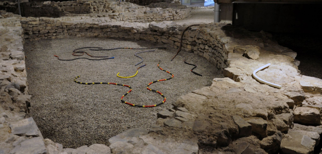 Cleo Fariselli, Urpe, Daboia, Taipan, Oropel, Petra, Ige, Vlada, Cinna, Nisia, 2013- 2015, tecnica mista su corda, varie dimensioni. Courtesy of the artist.Cleo Fariselli, Urpe, Daboia, Taipan, Oropel, Petra, Ige, Vlada, Cinna, Nisia, 2013- 2015, tecnica mista su corda, varie dimensioni. Courtesy of the artist.