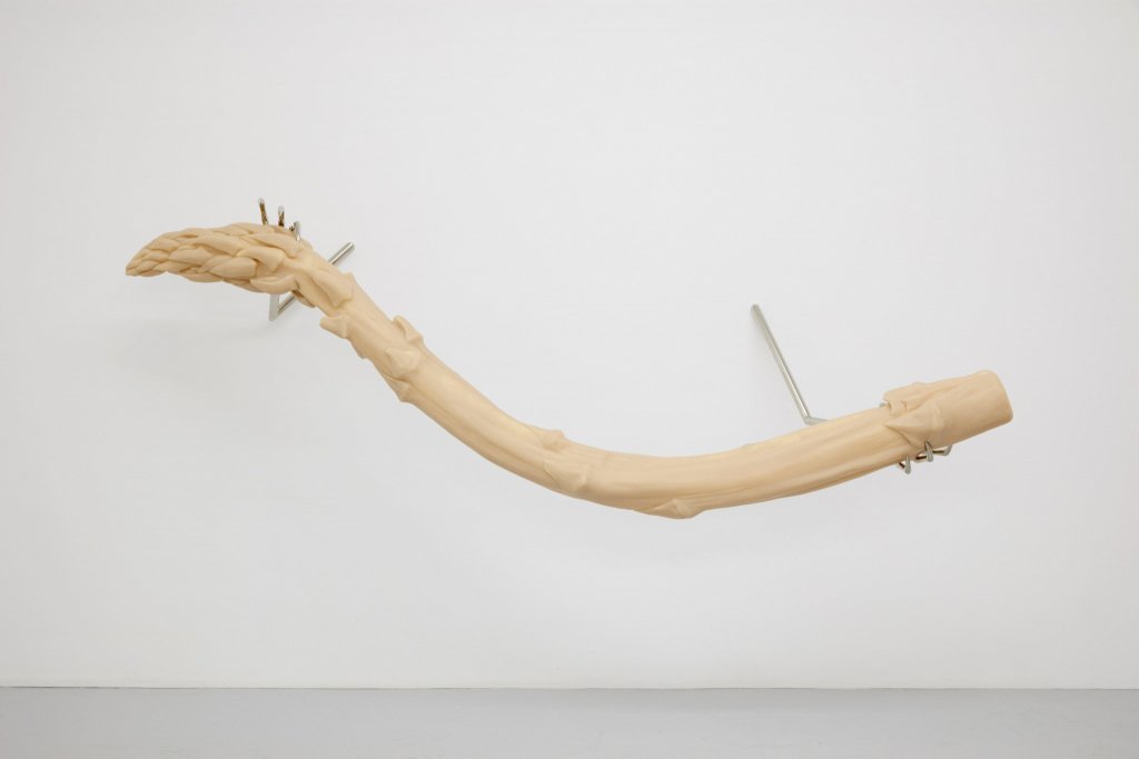 Hannah Levy